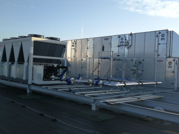 Referenzen 5 r hundm 1 600x450 1