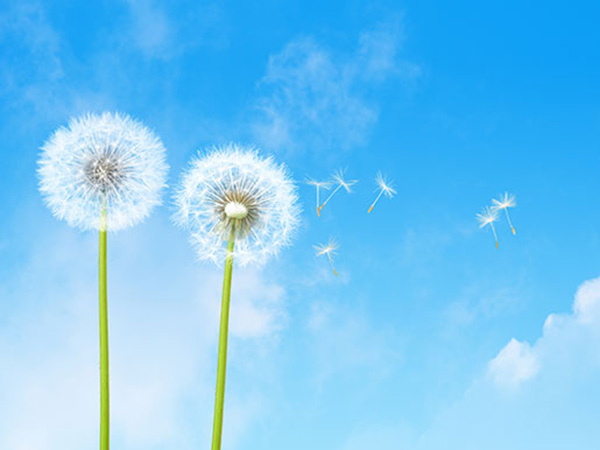 Referenzen 1 shutterstock 23739277 600x450 1